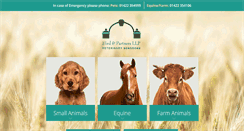 Desktop Screenshot of hirdandpartners.com